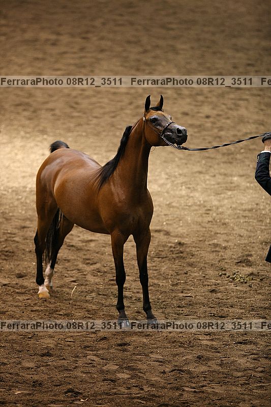 Proof 08r12_3511