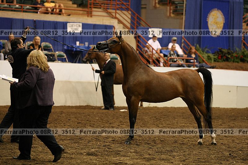 Proof 08r12_3512
