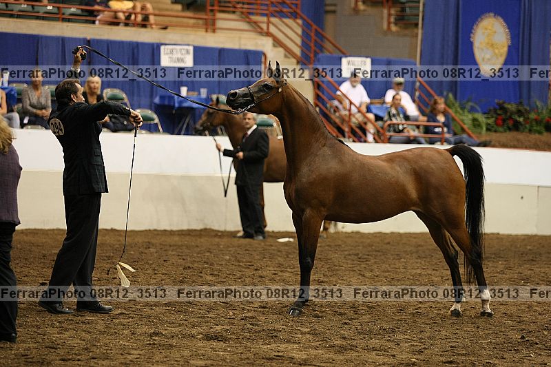 Proof 08r12_3513