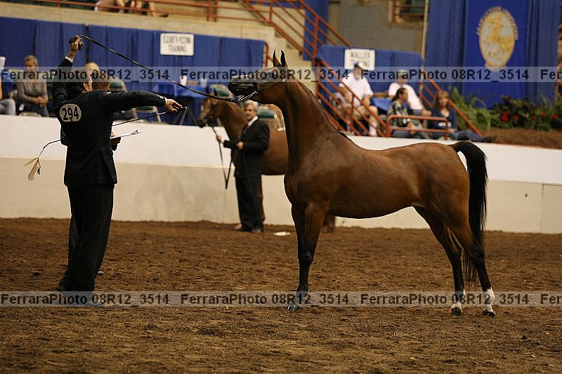 Proof 08r12_3514