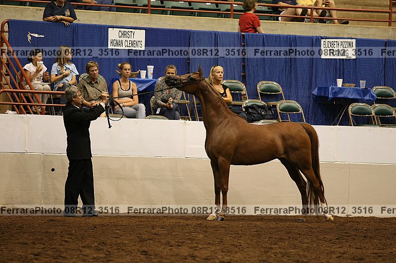 Proof 08r12_3516