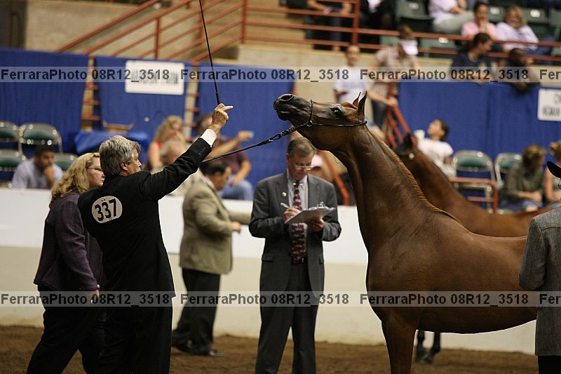 Proof 08r12_3518