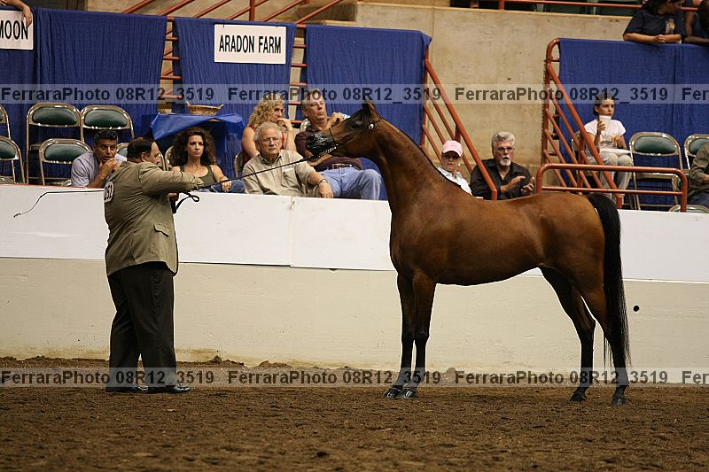 Proof 08r12_3519