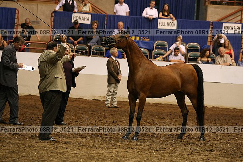 Proof 08r12_3521
