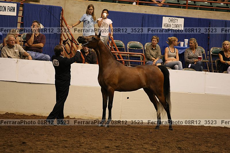 Proof 08r12_3523