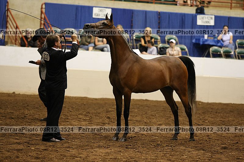 Proof 08r12_3524