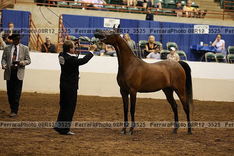Proof 08r12_3525