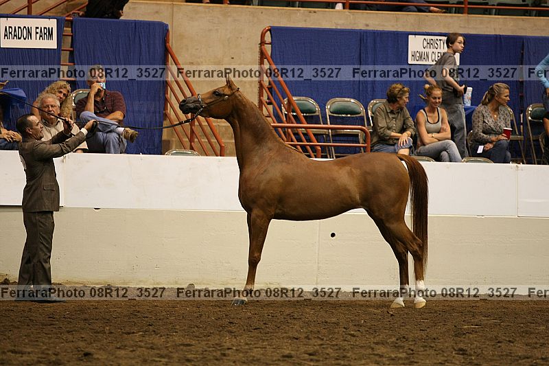 Proof 08r12_3527