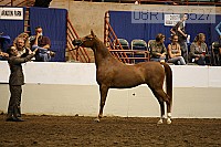 08r12_3527 proof