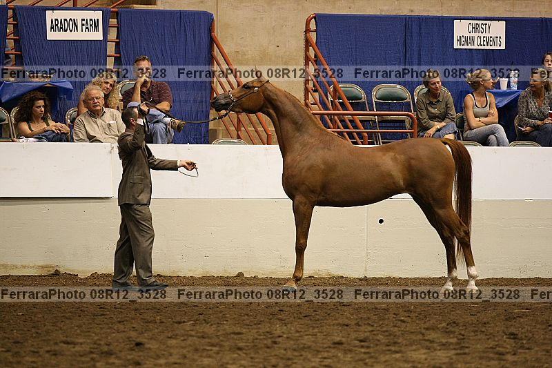 Proof 08r12_3528