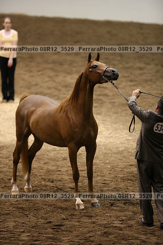 Proof 08r12_3529
