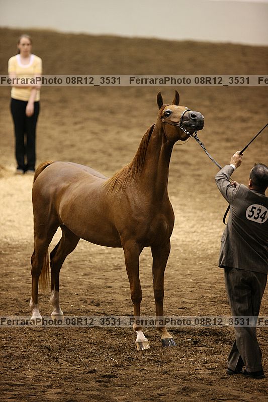 Proof 08r12_3531