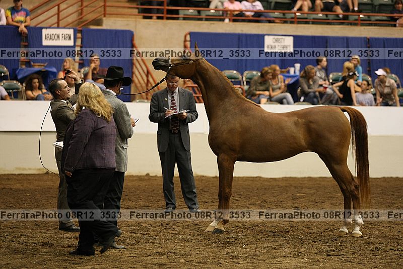 Proof 08r12_3533