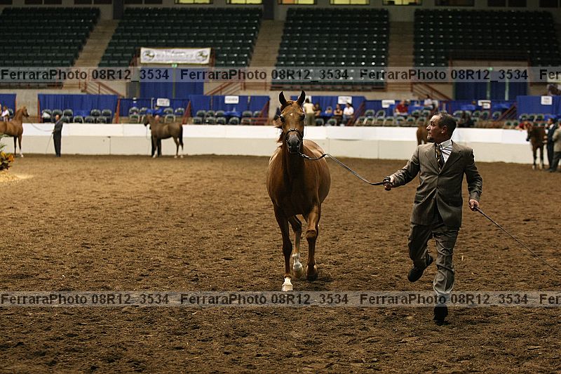 Proof 08r12_3534
