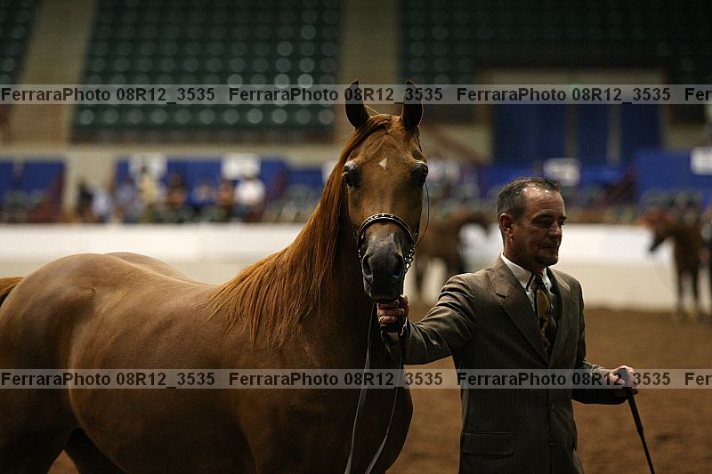 Proof 08r12_3535