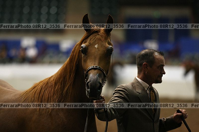 Proof 08r12_3536
