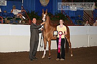 08r12_3537 proof
