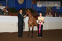 08r12_3538 proof