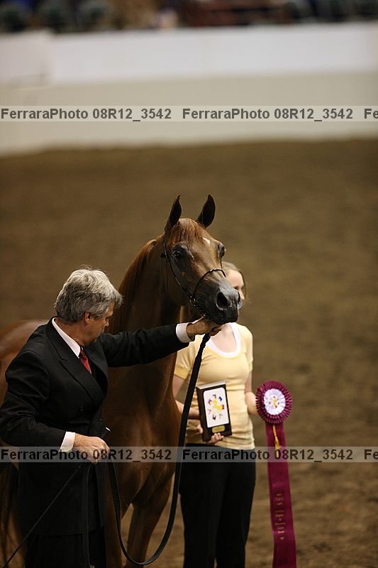 Proof 08r12_3542