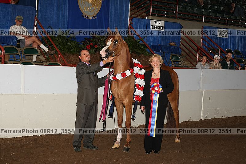 Proof 08r12_3554