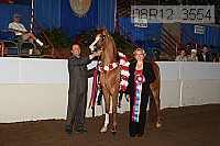 08r12_3554 proof