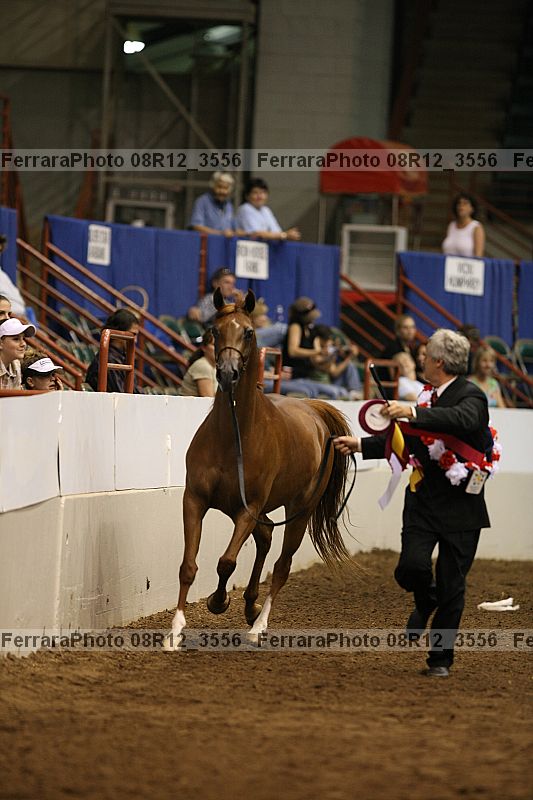 Proof 08r12_3556