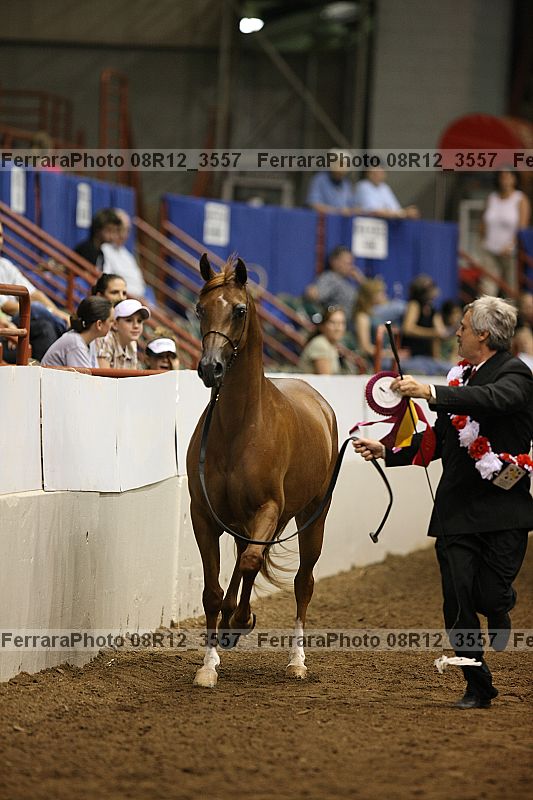 Proof 08r12_3557