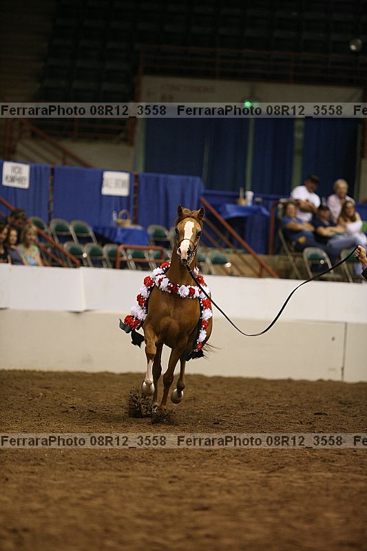 Proof 08r12_3558