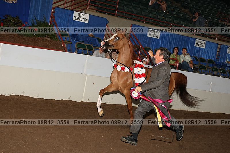 Proof 08r12_3559