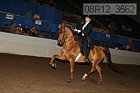 08r12_3562 proof