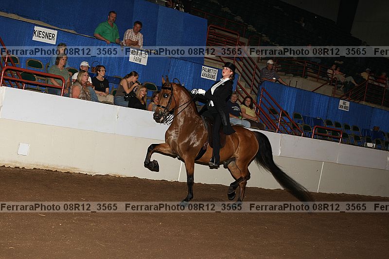 Proof 08r12_3565