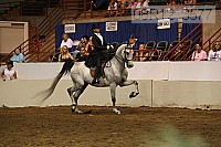 08r12_3577 proof