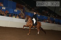 08r12_3628 proof