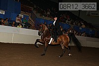 08r12_3662 proof