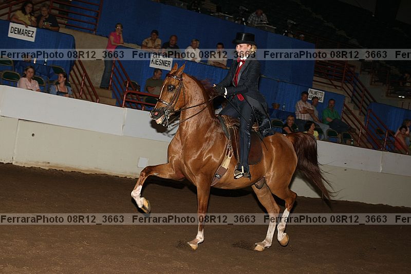 Proof 08r12_3663