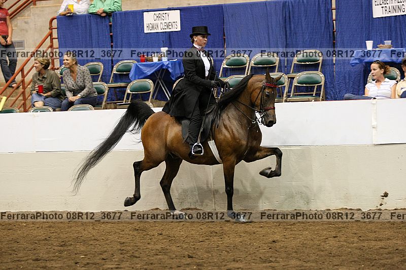 Proof 08r12_3677