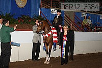 08r12_3684 proof