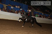 08r12_3696 proof