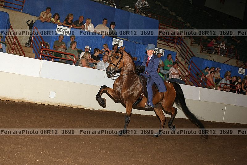 Proof 08r12_3699