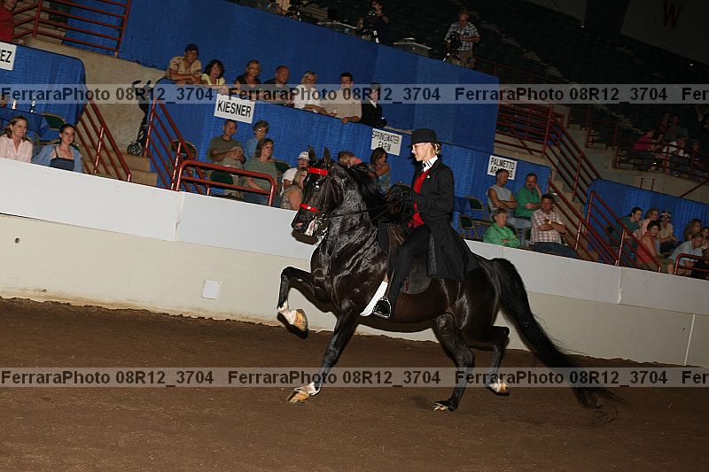 Proof 08r12_3704