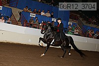 08r12_3704 proof