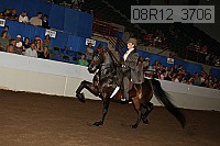 08r12_3706 proof
