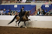08r12_3711 proof