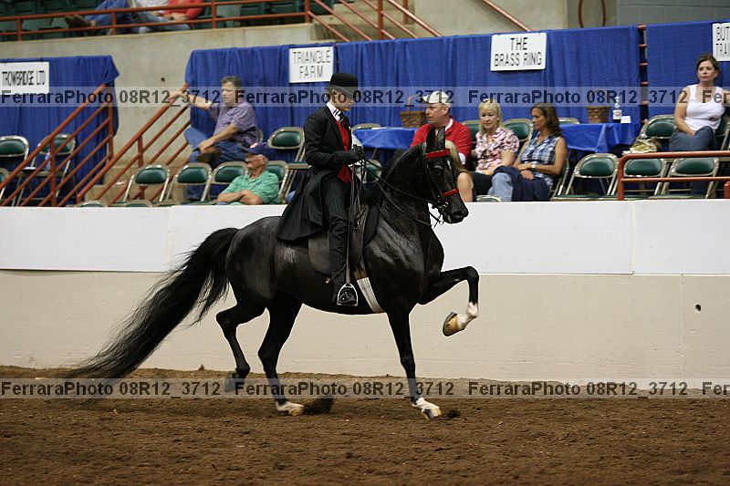 Proof 08r12_3712