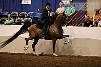 08r12_3713 proof