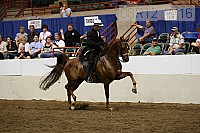 08r12_3716 proof