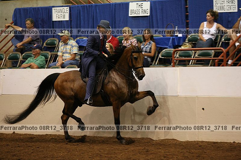 Proof 08r12_3718