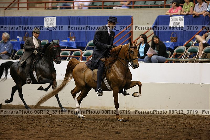 Proof 08r12_3719