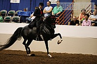 08r12_3721 proof