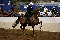 08r12_3722 proof